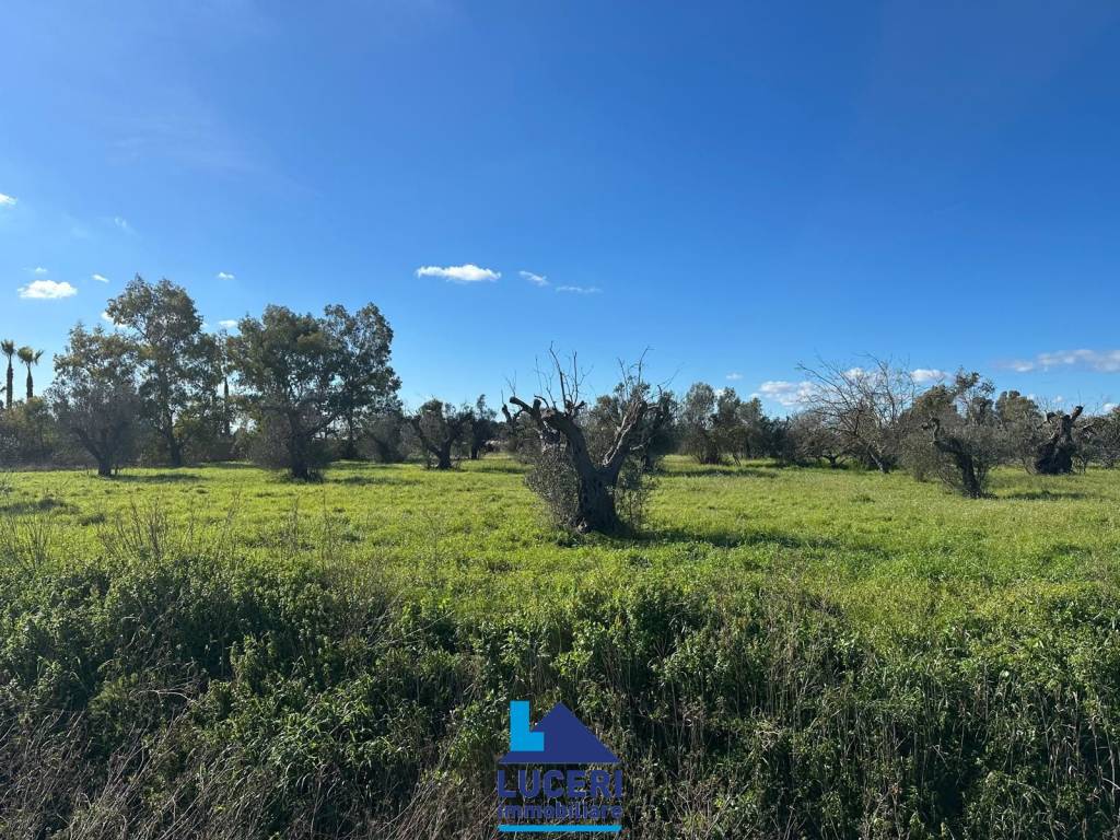 Terreno a Alezio in Strada Vicinale Colline - Foto 2