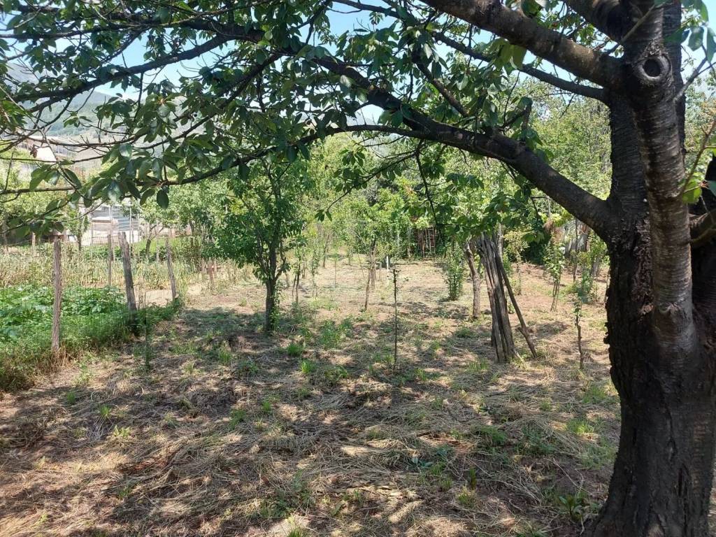 Terreno a Siano in Via Valesana, 43 - Foto 4