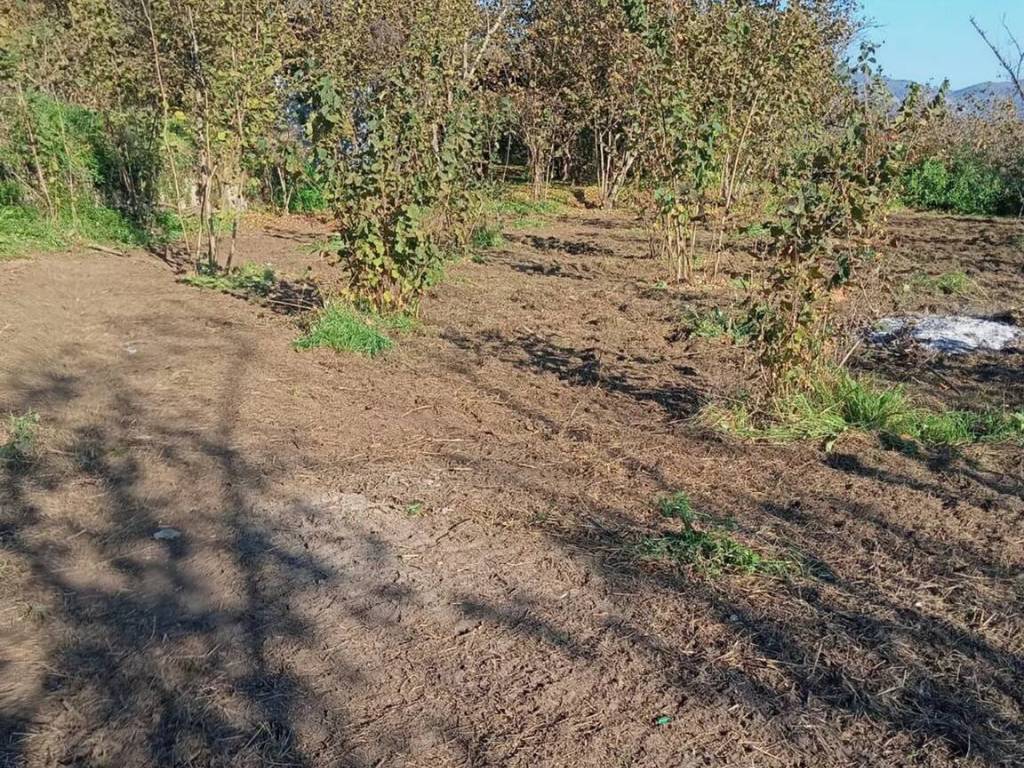 Terreno a Montoro in Figlioli - Foto 2