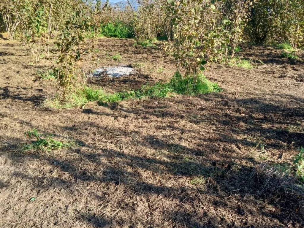 Terreno a Montoro in Figlioli - Foto 3