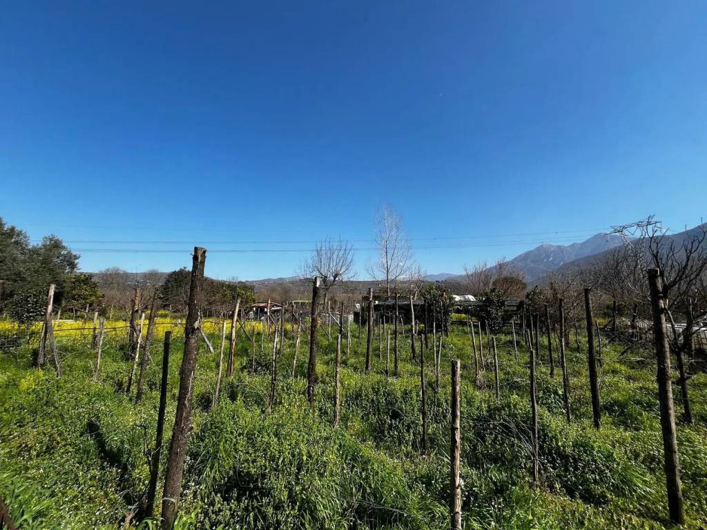 Terreno a Montoro in Via Roma - Foto 3