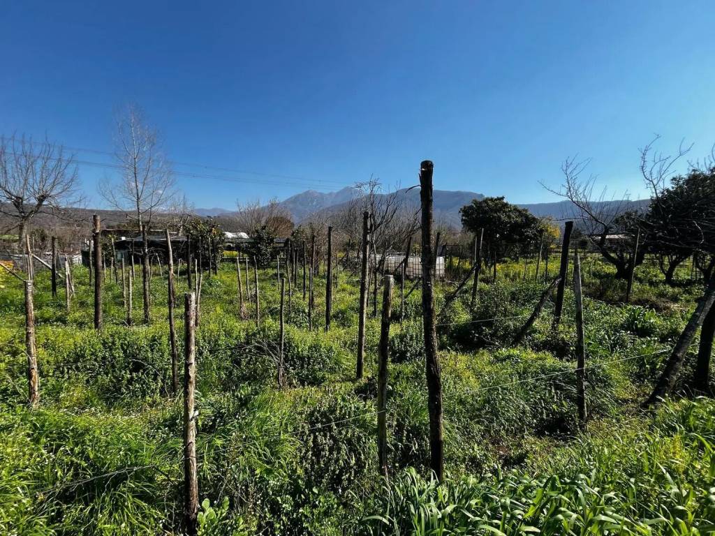 Terreno a Montoro in Via Roma - Foto 4