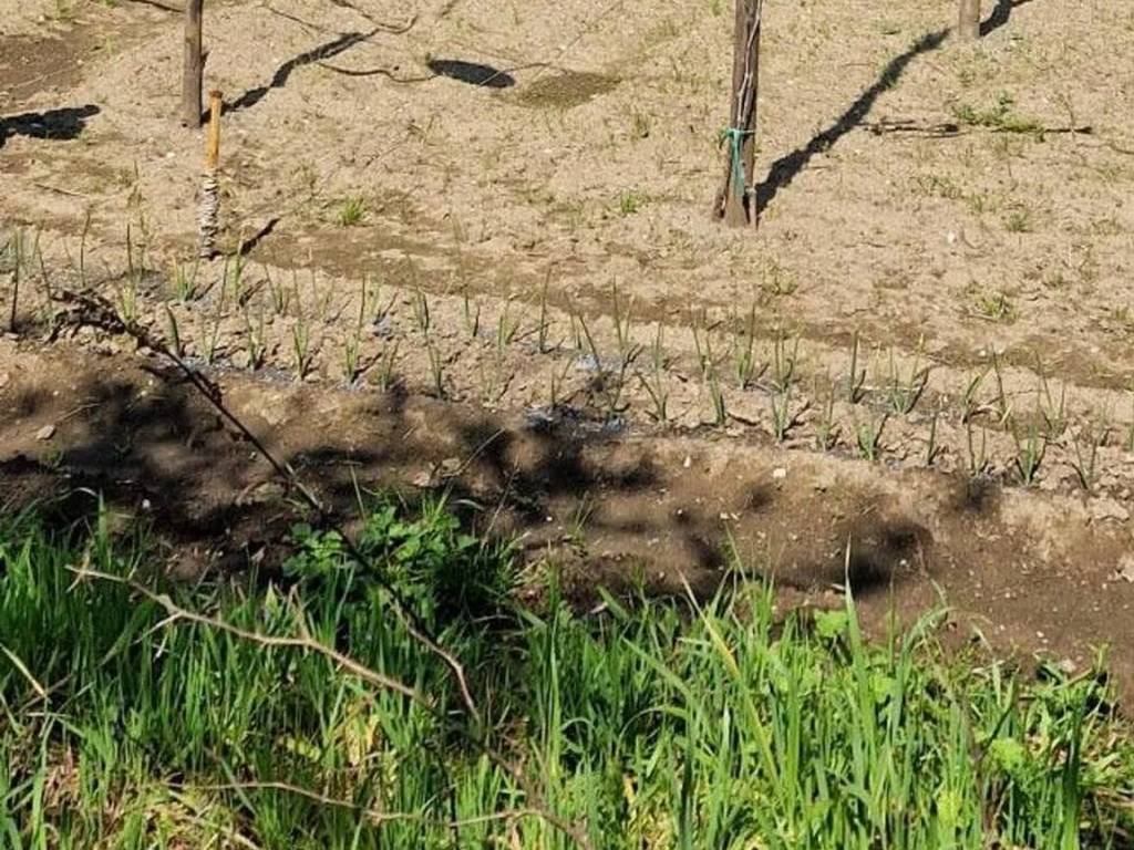 Terreno a Montoro in Via Prato, 1 - Foto 2