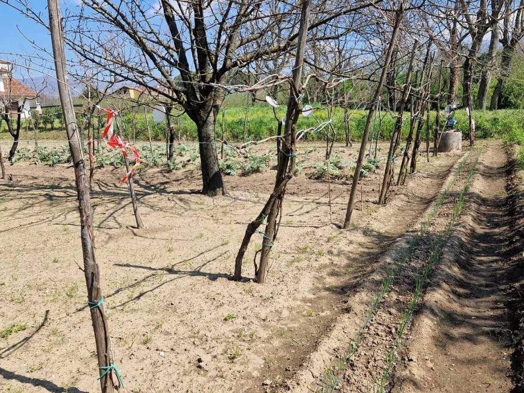 Terreno a Montoro in Via Prato, 1 - Foto 3