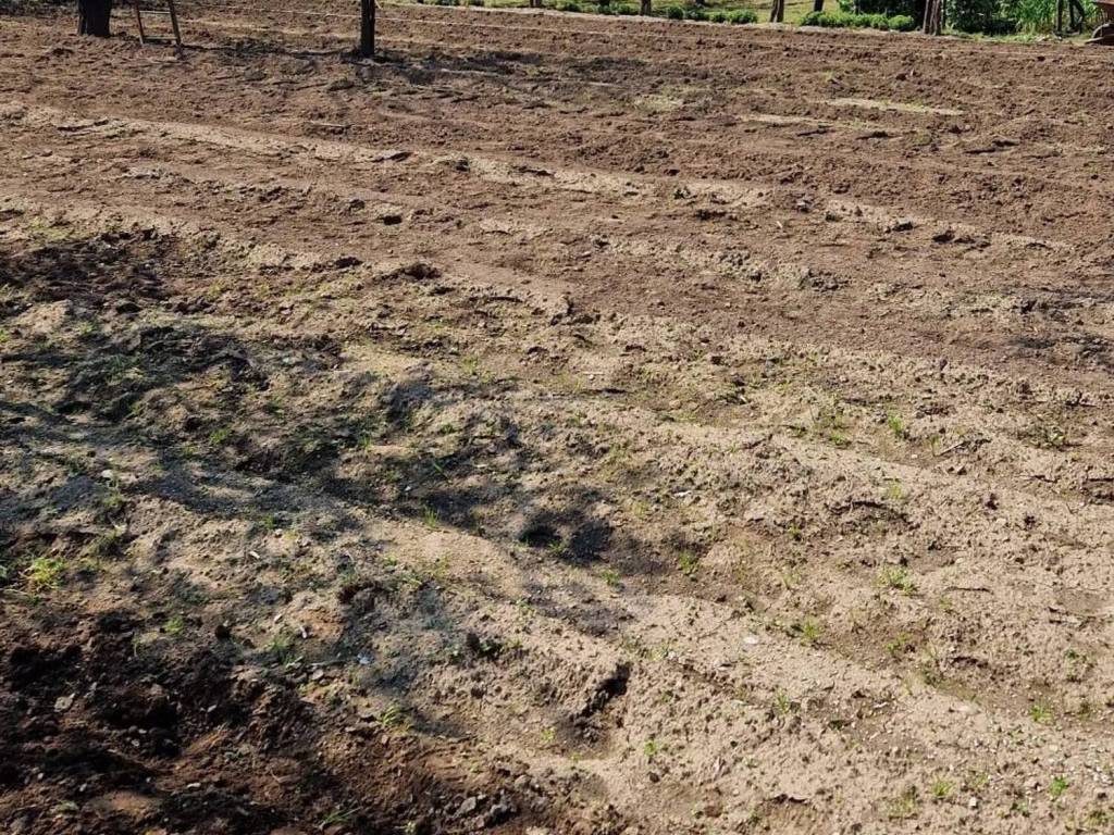 Terreno a Montoro in Via Prato, 1 - Foto 5