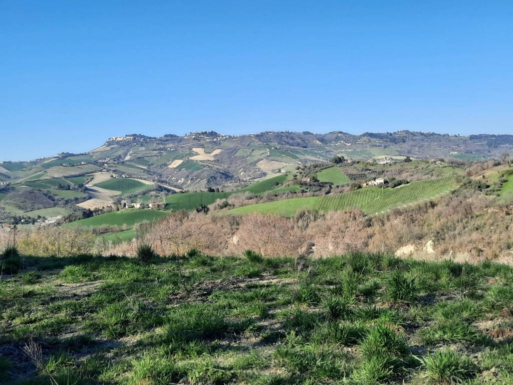 Rustico / casale a Ripatransone in cantina Cocci Grifoni - Foto 2