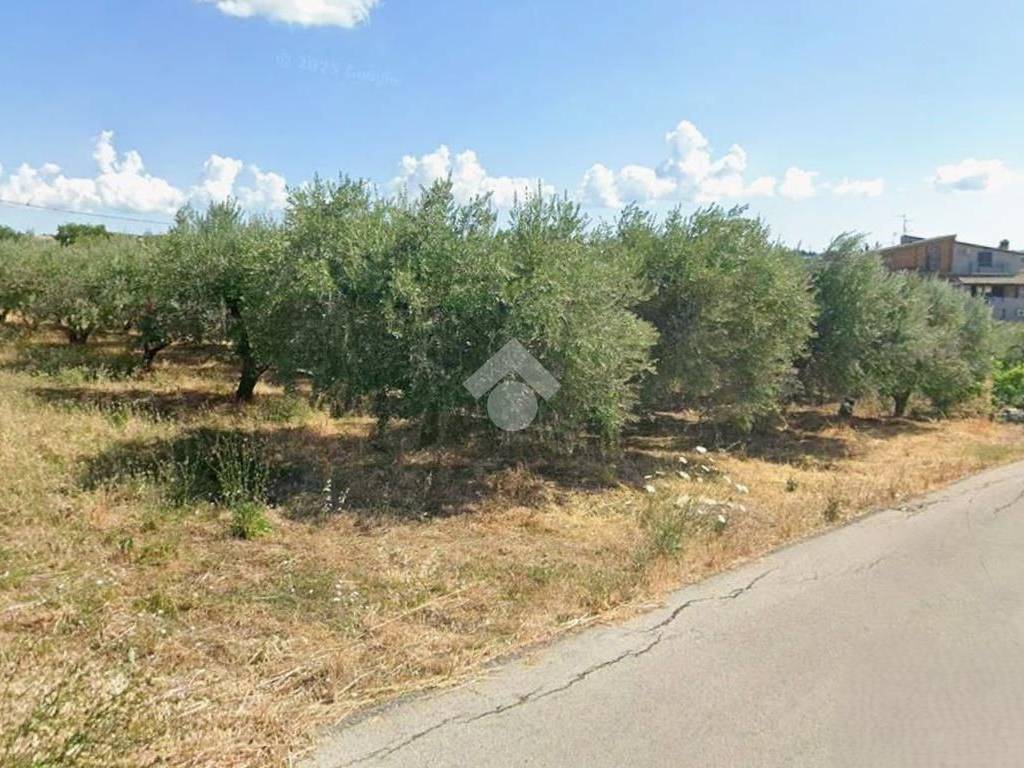 Terreno a Cupello in Contrada Ributtini, 28 - Foto 2