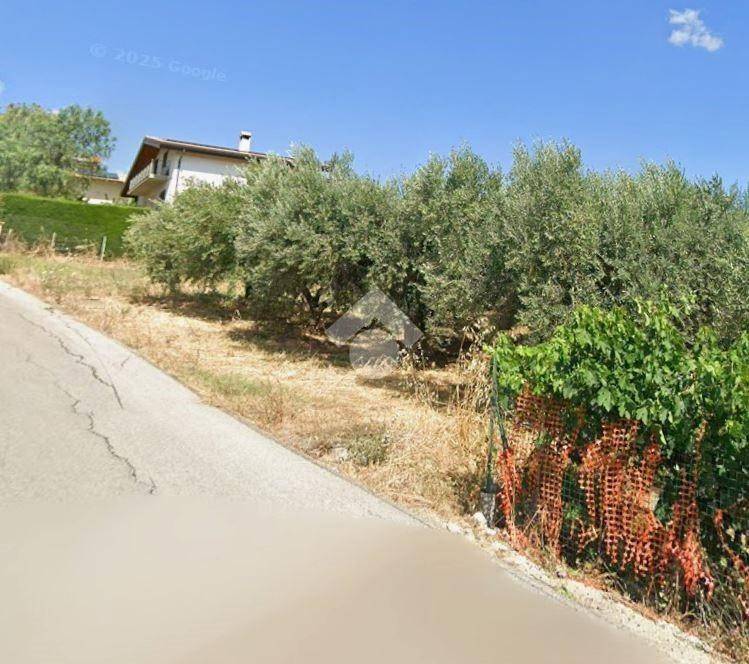 Terreno a Cupello in Contrada Ributtini, 28 - Foto 3