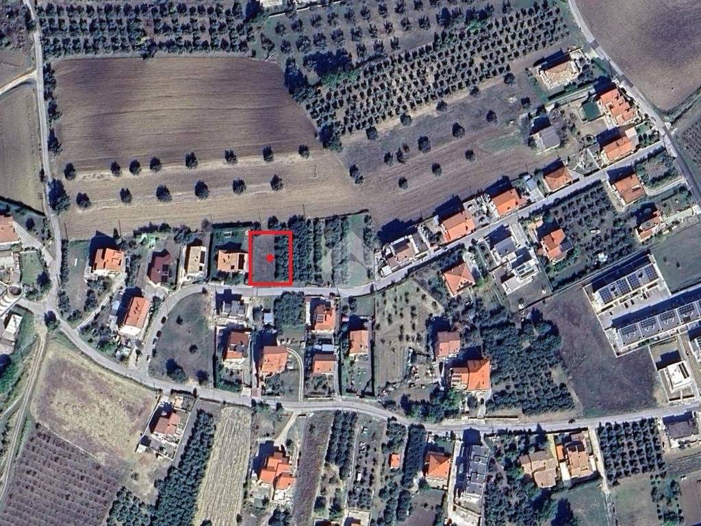 Terreno a Cupello in Contrada Ributtini, 28 - Foto 5