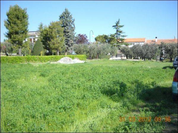 Terreno a Castorano - Foto 3