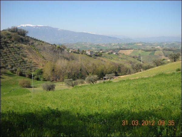 Terreno a Castorano - Foto 5