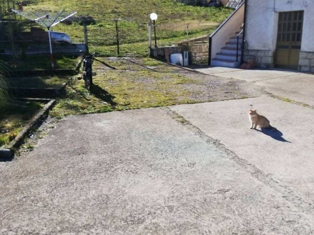 Rustico / casale a San fele - Foto 3