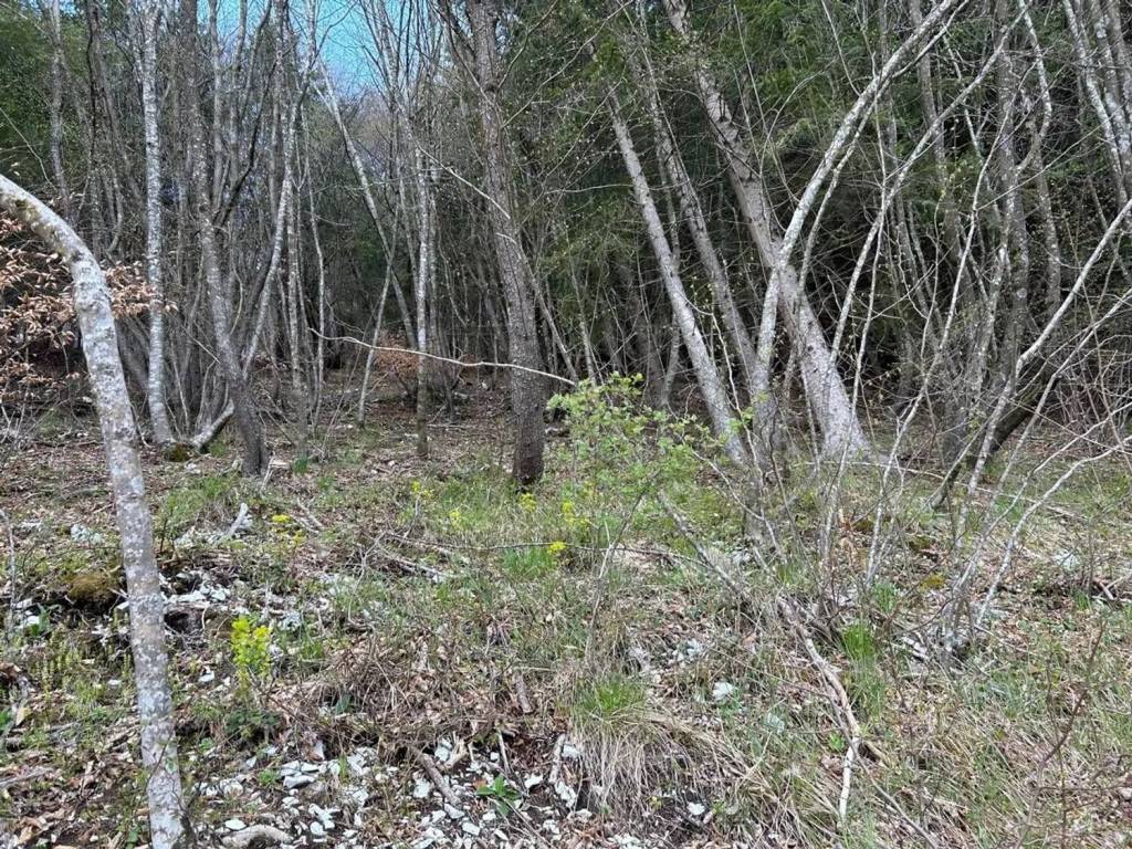 Terreno a Arsiè - Foto 3