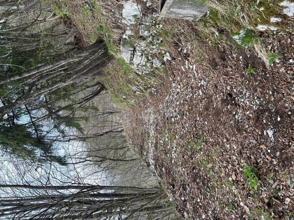 Terreno a Arsiè - Foto 5