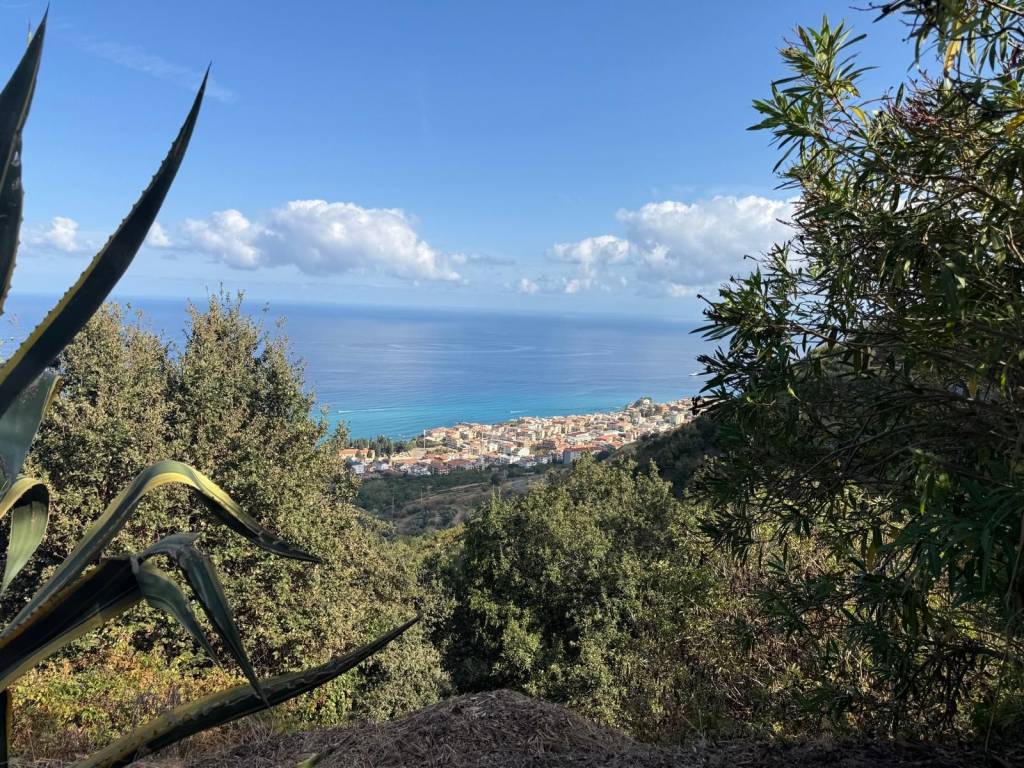 Villa a Drapia in Contrada Fazzari - Foto 5