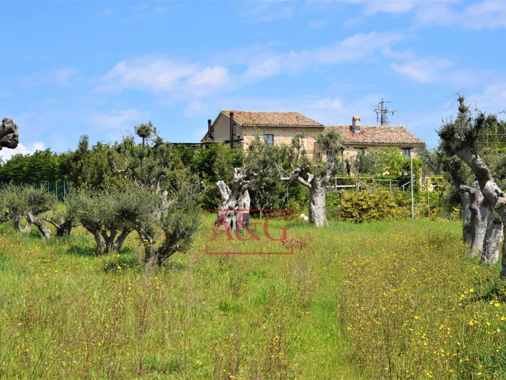 Rustico / casale a Recanati in Frazione Montefiore - Foto 5