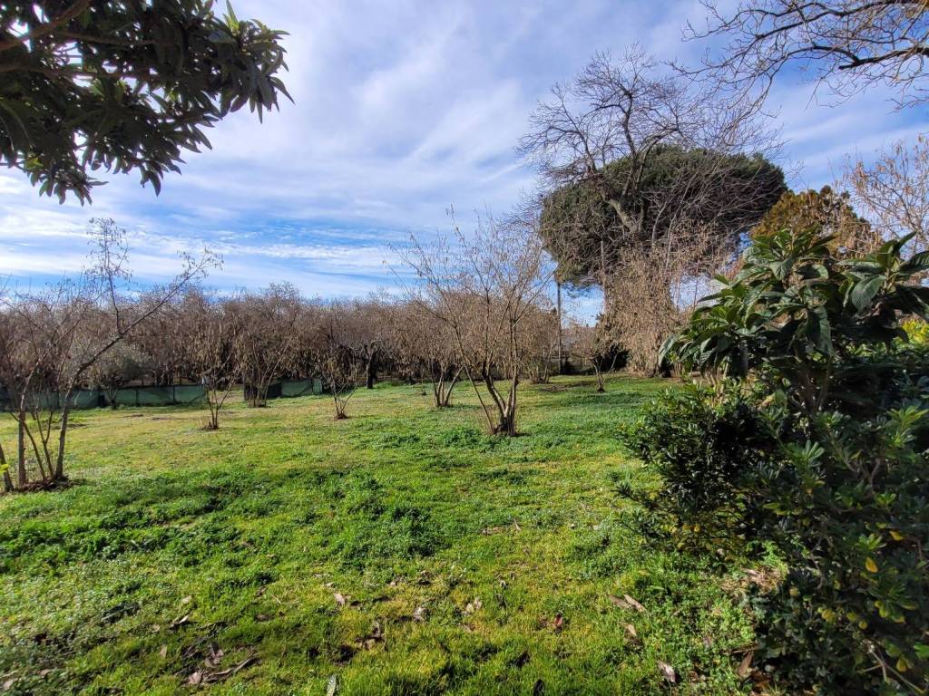 Villa a Capranica - Foto 5