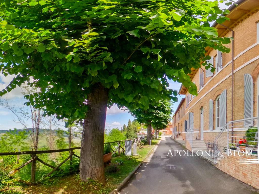 Appartamento a Montepulciano in Duccio Galimberti, 10 - Foto 4