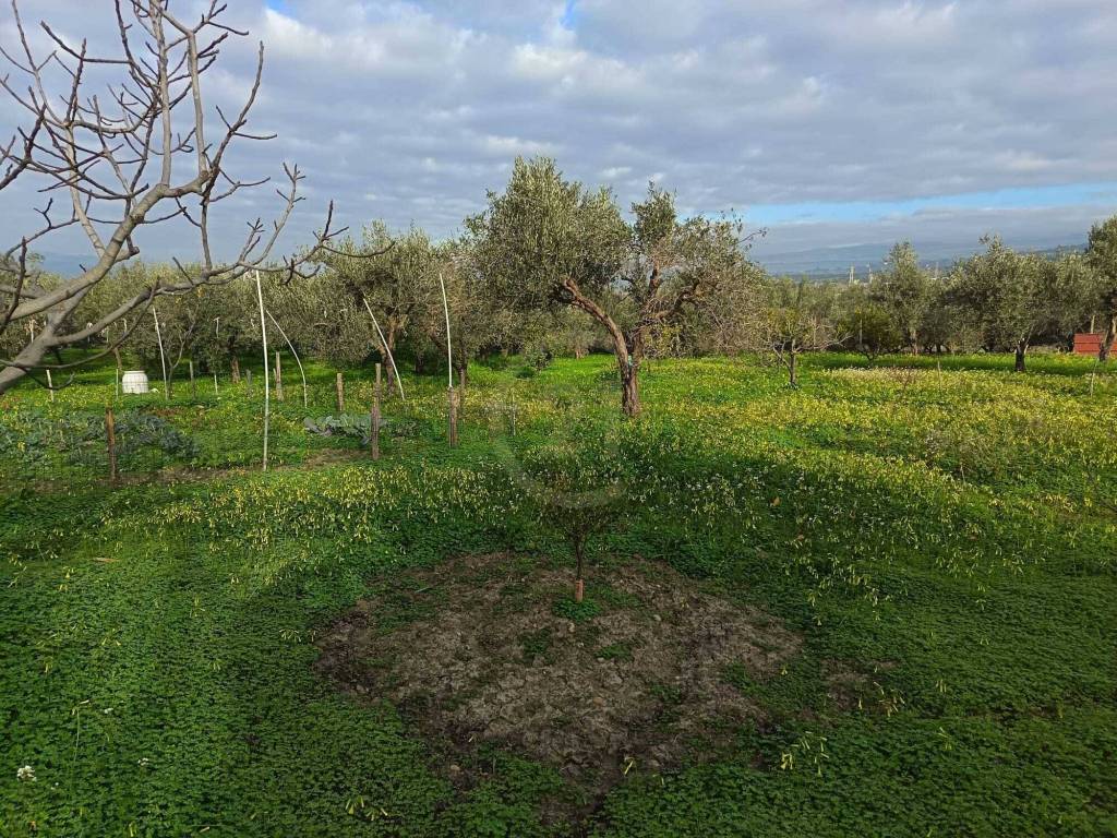 Terreno a Belpasso - Foto 2