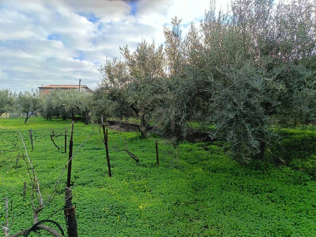 Terreno a Belpasso - Foto 4