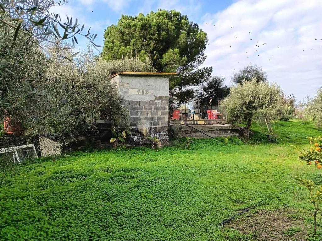 Terreno a Belpasso - Foto 5