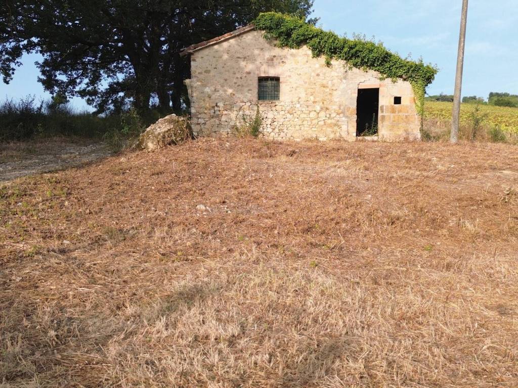 Rustico / casale a Fratta todina - Foto 2