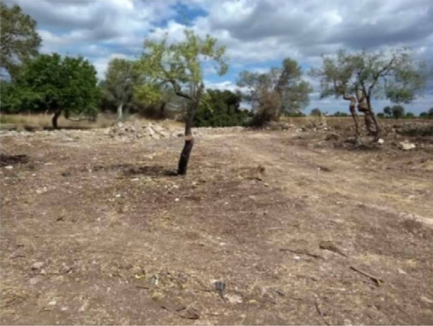 Terreno a Floridia - Foto 3