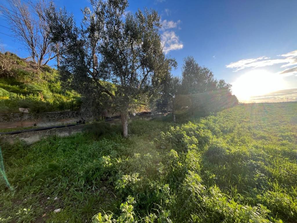 Terreno a Cerignola - Foto 2