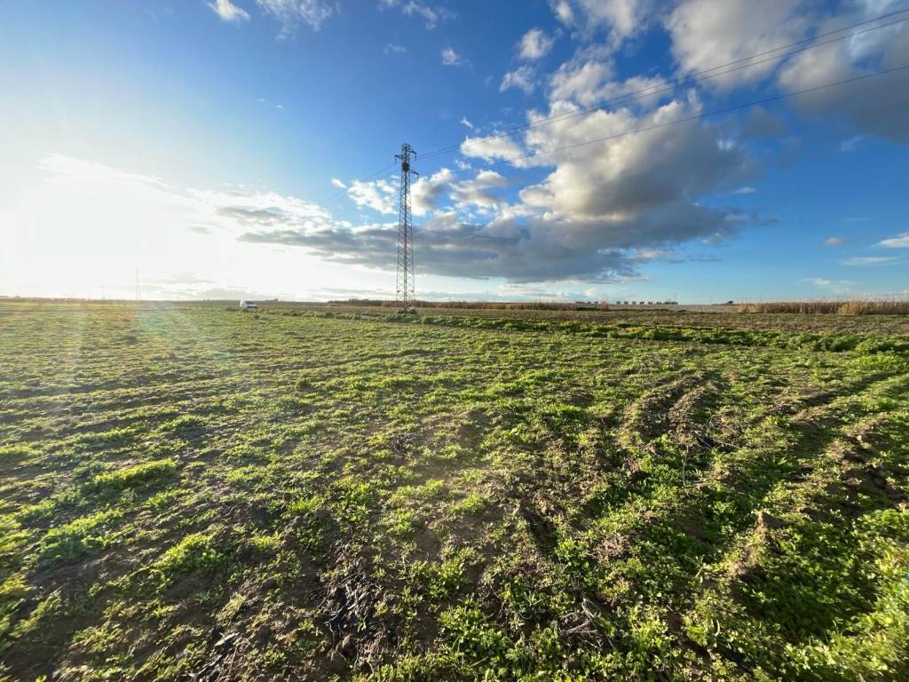 Terreno a Cerignola - Foto 4