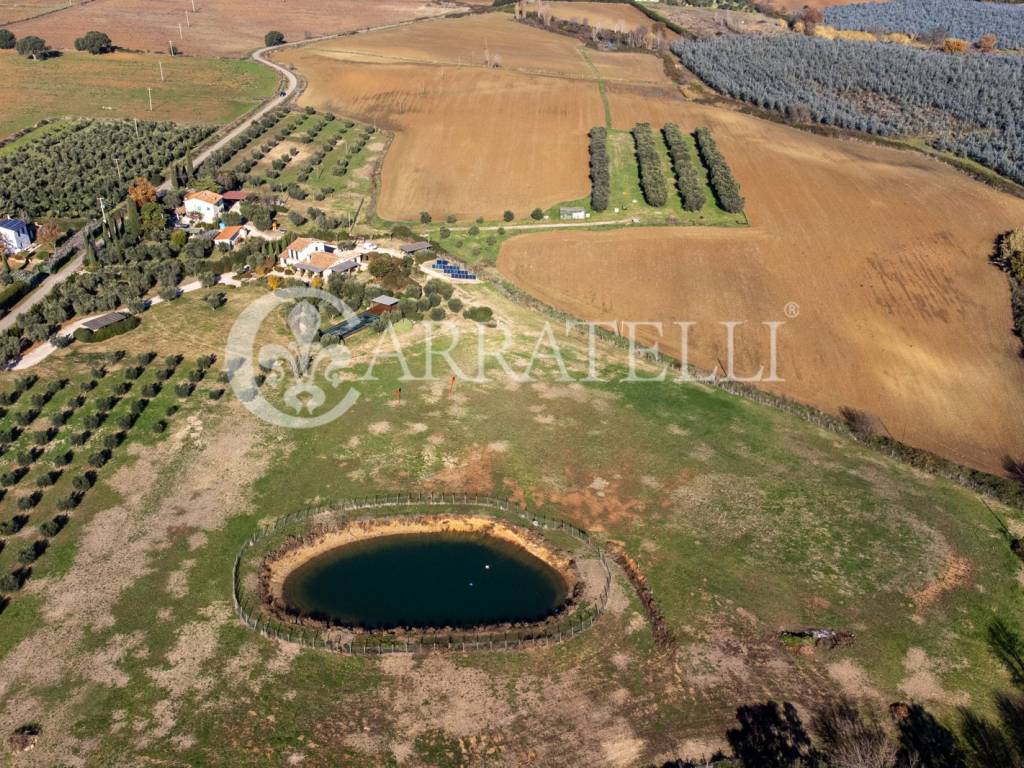 Terreno a Capalbio in Strada Poggio Pelato - Foto 2