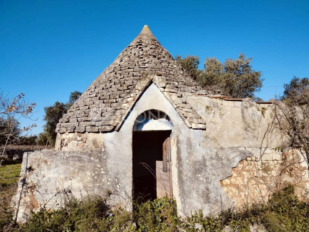 Rustico / casale a Conversano - Foto 4