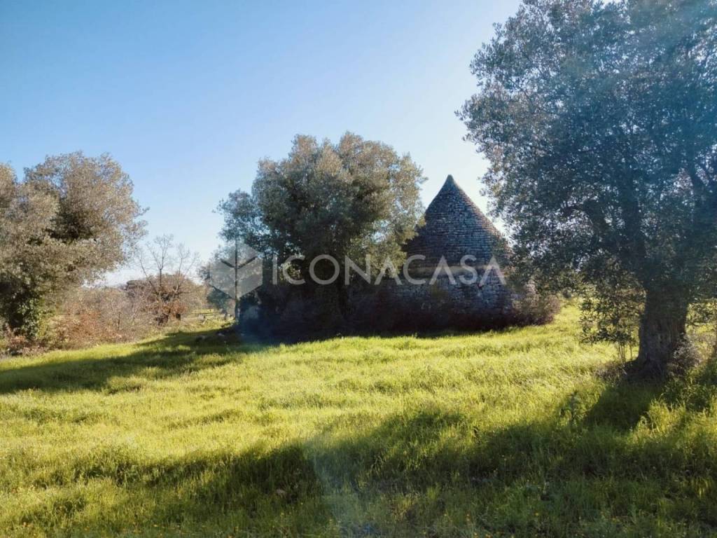 Rustico / casale a Conversano - Foto 5