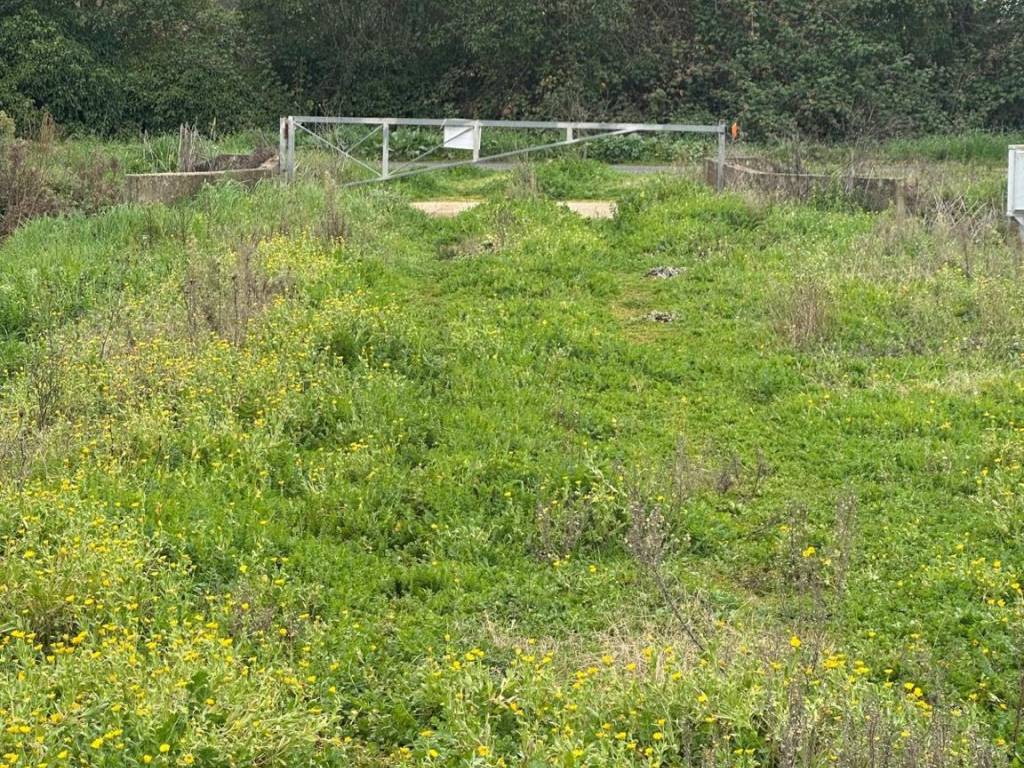 Terreno a Latina in Strada Striscia - Foto 4