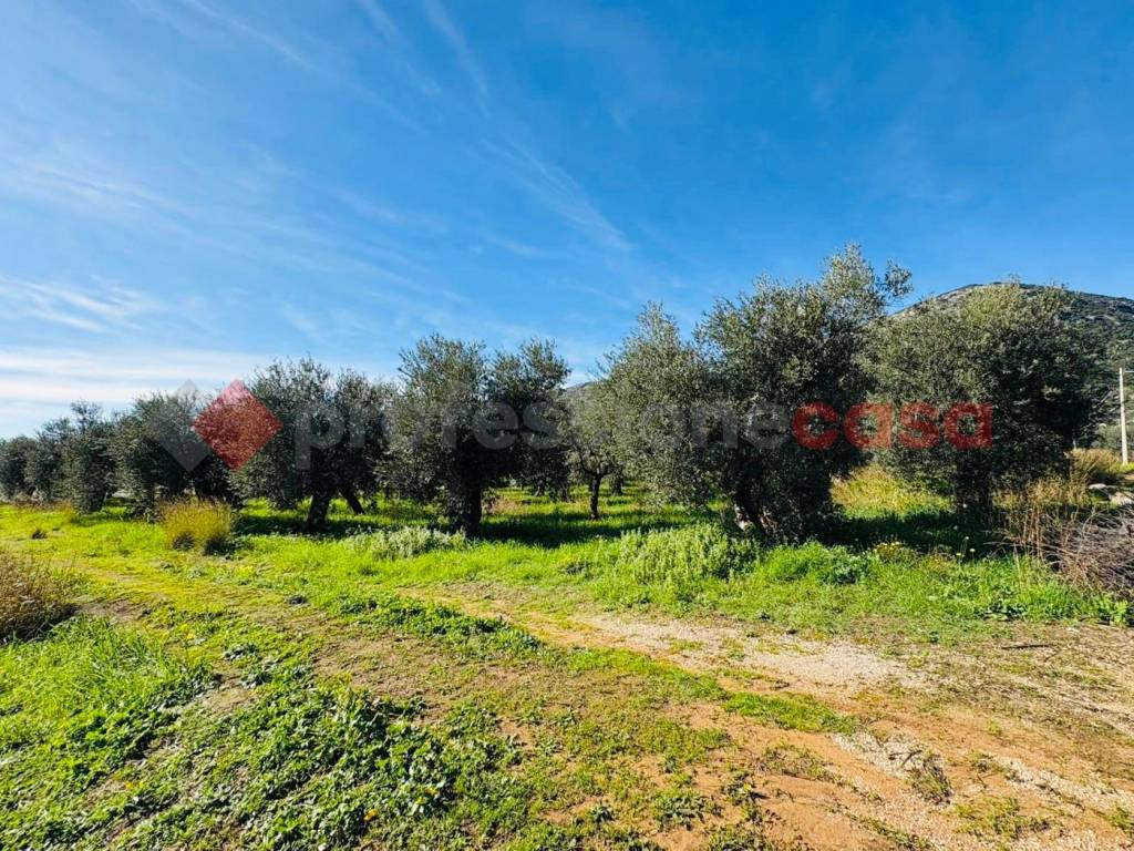 Terreno a Terracina in VIA SELVOTTA, 40 - Foto 2