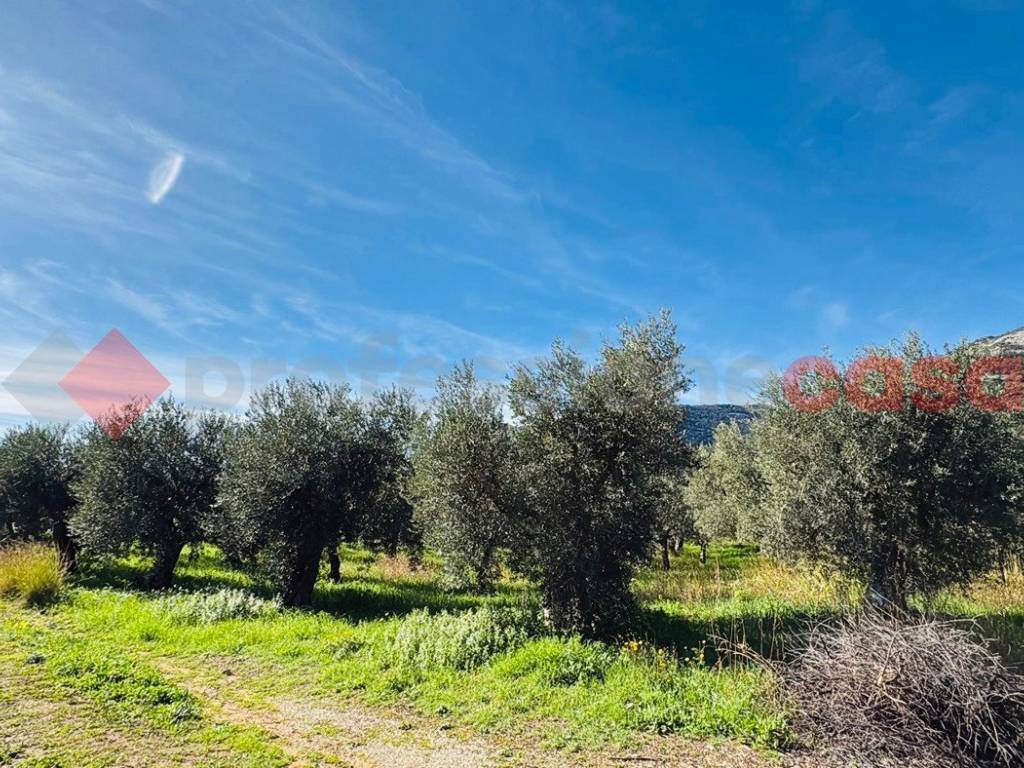 Terreno a Terracina in VIA SELVOTTA, 40 - Foto 3