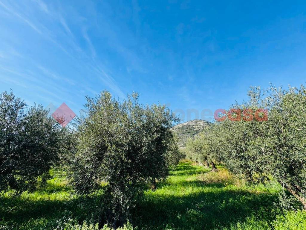 Terreno a Terracina in VIA SELVOTTA, 40 - Foto 5