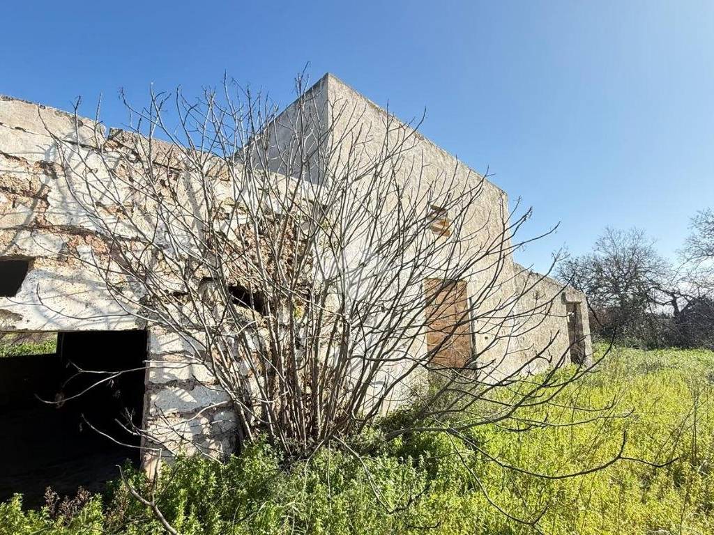 Rustico / casale a Taviano in Via SP350 - Foto 3