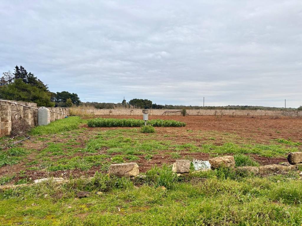 Rustico / casale a Manduria in Strada Provinciale per Borraco - Foto 3