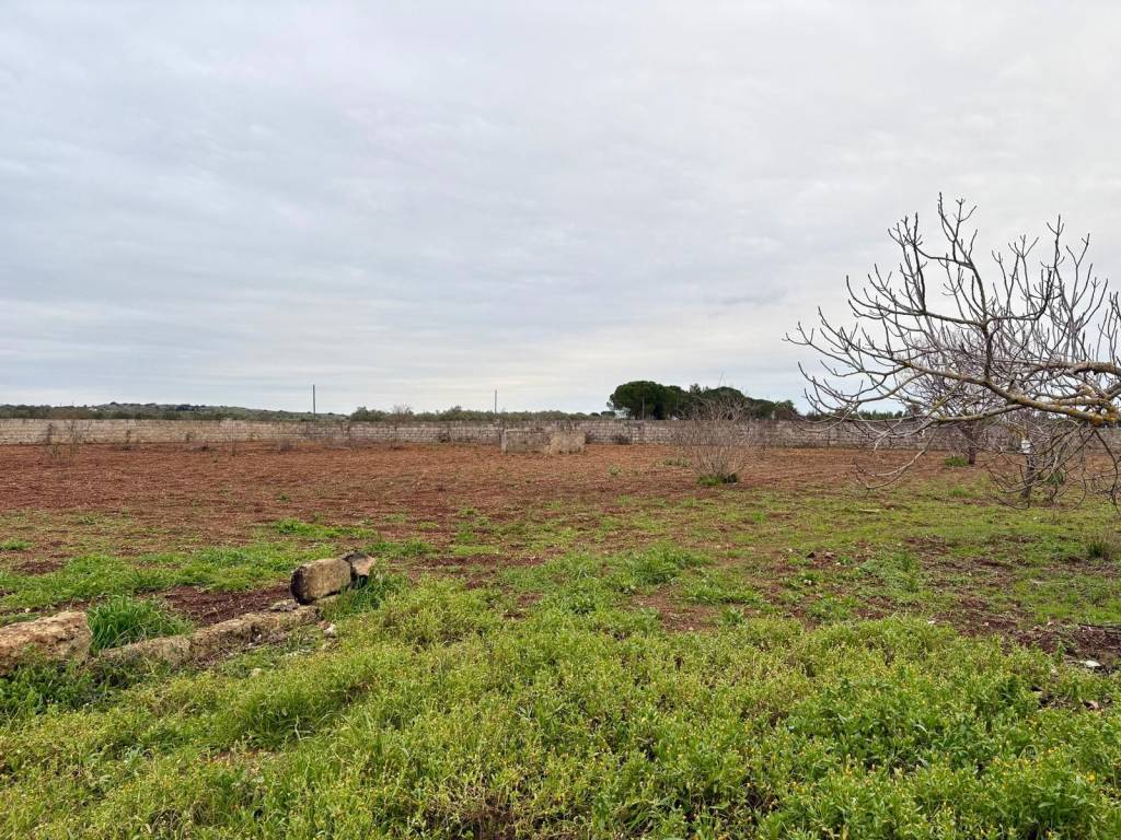 Rustico / casale a Manduria in Strada Provinciale per Borraco - Foto 4