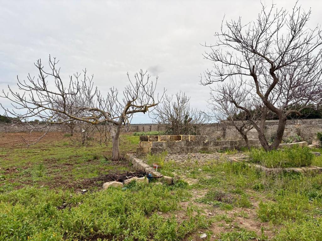 Rustico / casale a Manduria in Strada Provinciale per Borraco - Foto 5