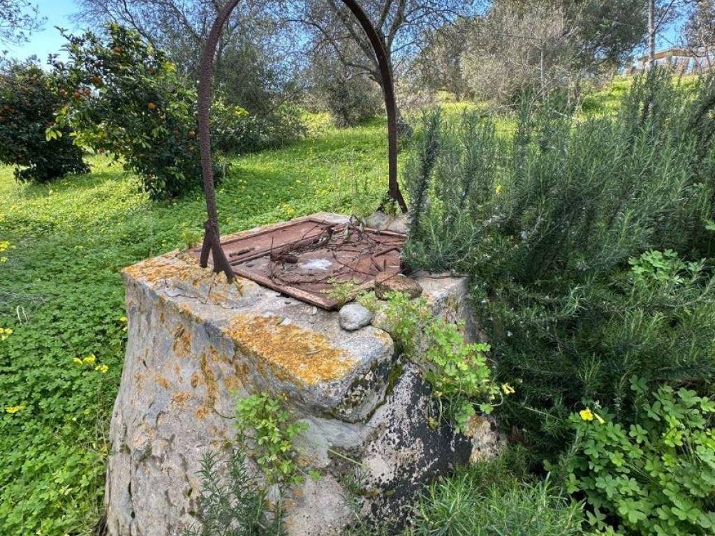 Terreno a Pachino in Contrada Cozzo Croce - Foto 4