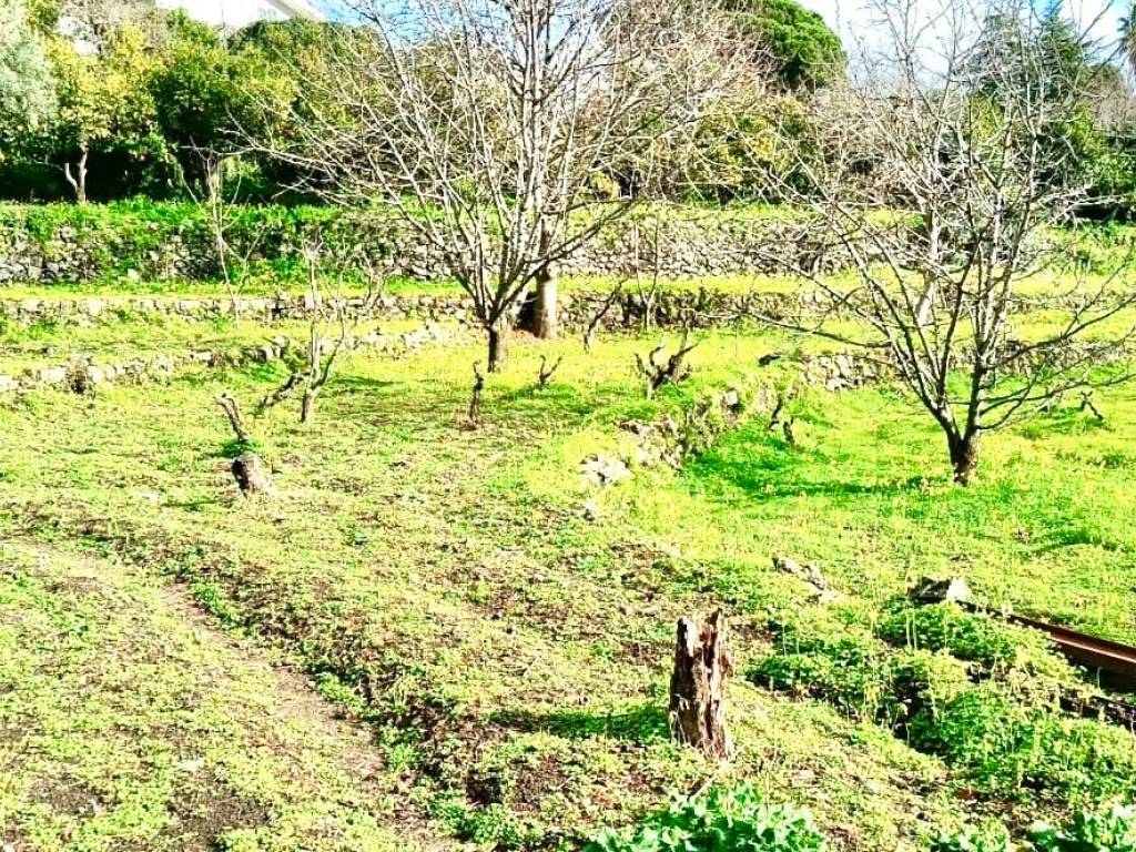 Terreno a Mascali - Foto 2