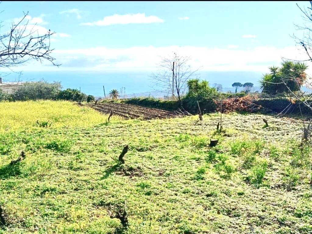 Terreno a Mascali - Foto 3