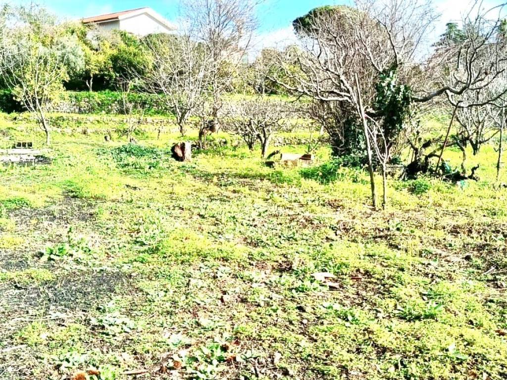 Terreno a Mascali - Foto 4