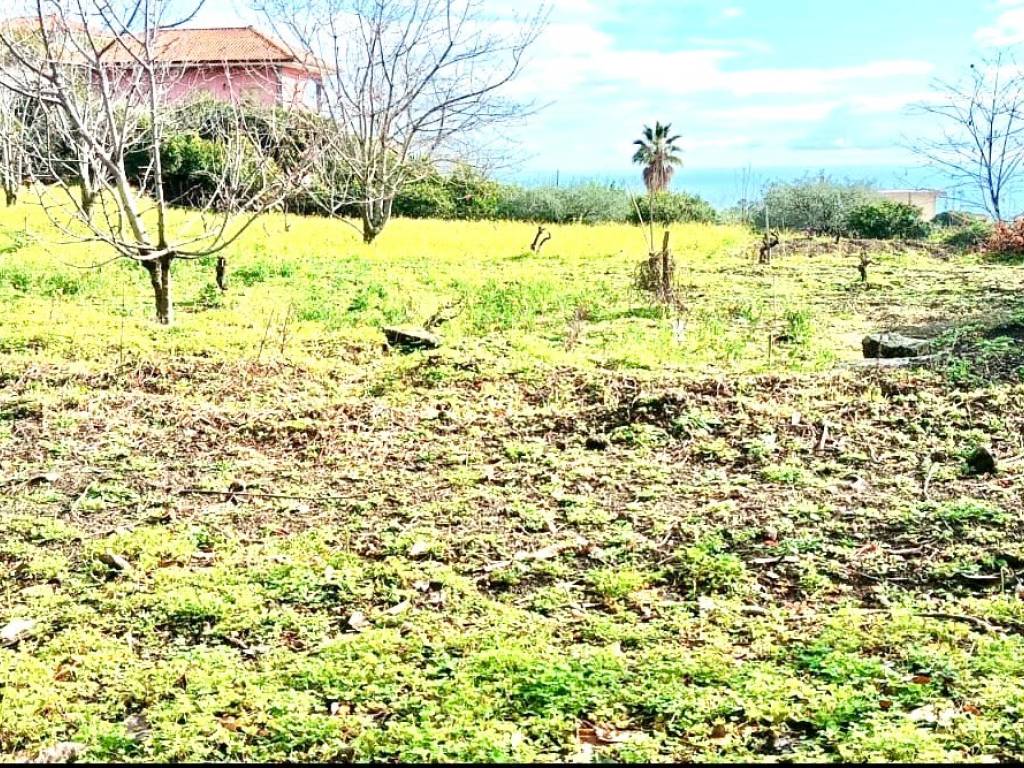 Terreno a Mascali - Foto 5