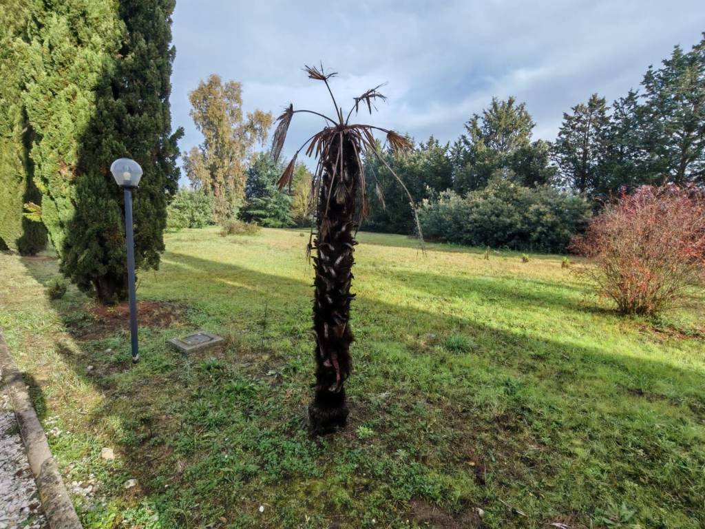 Terreno a Benevento in Contrada La Francesca - Foto 3