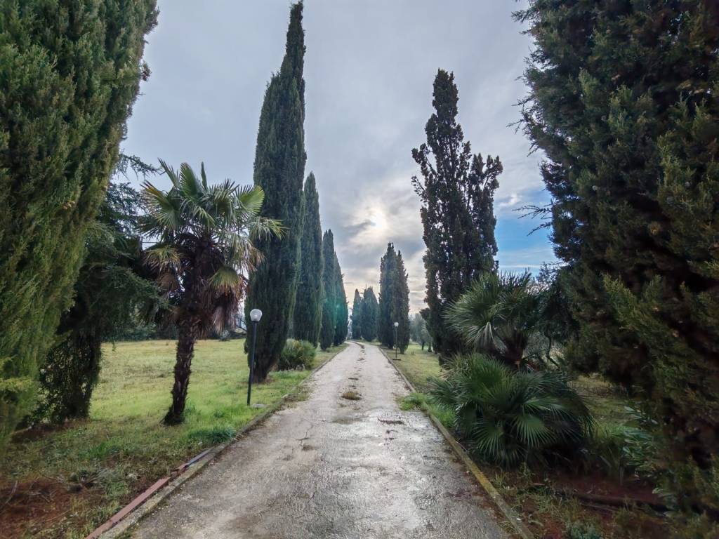 Terreno a Benevento in Contrada La Francesca - Foto 4