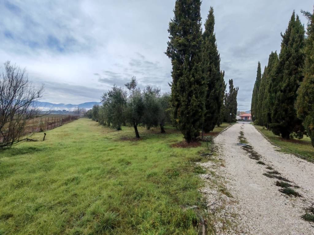 Terreno a Benevento in Contrada La Francesca - Foto 5