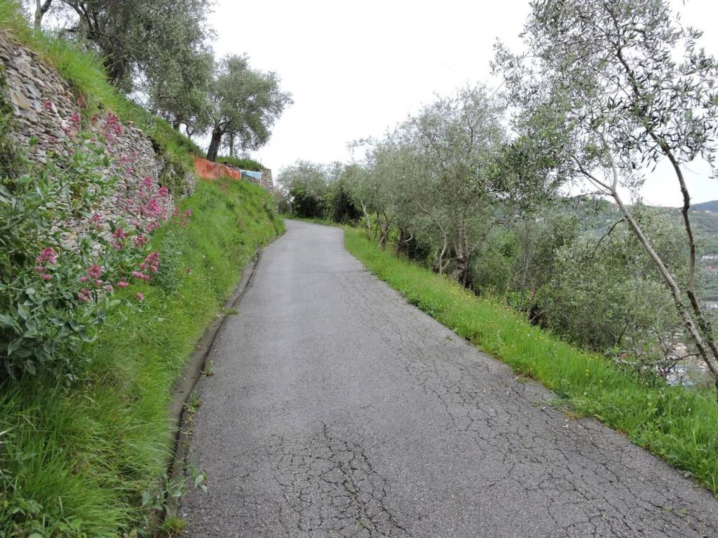 Terreno a Chiavari - Foto 4