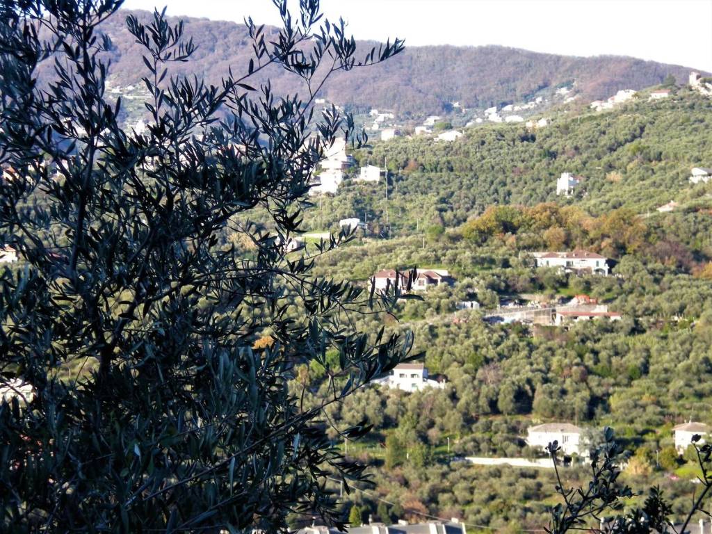 Terreno a Chiavari - Foto 2